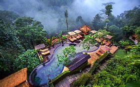 Nandini Jungle By Hanging Gardens